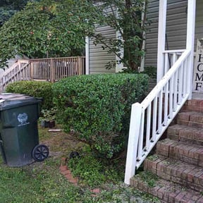 Bush Trimming by Gods Property Lawn & landscaping reviewed on August 17, 2025