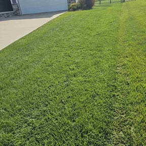 landscaping services by Tim&#039;s Discount Lawn reviewed on November 24, 2025