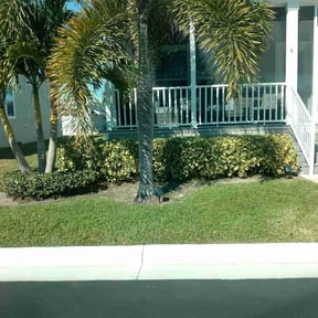 Bush Trimming by Cardinal lawn care and maintenance LLC reviewed on November 21, 2025