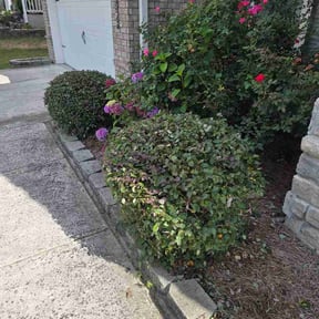Bush Trimming by Kloka Family Lawn Care reviewed on June 26, 2026