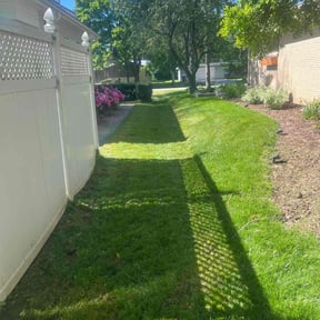 grass cutting by AYS reviewed on December 1, 2023