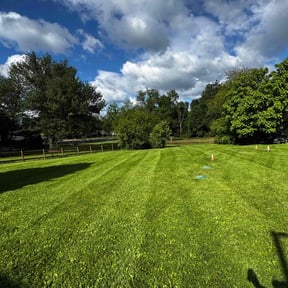 yard service by EV Great Valley Landscaping,LLC. reviewed on August 19, 2025