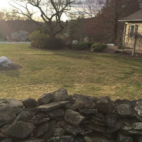Bush Trimming by Rocky Top Lawn reviewed on August 14, 2025