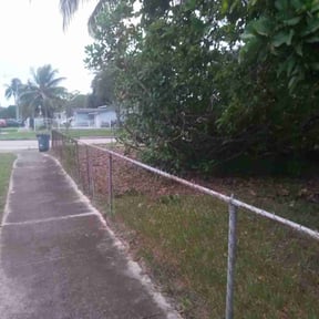 Bush Trimming by Croc Landscape Corp reviewed on October 22, 2025