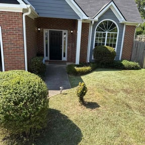 Bush Trimming by Stephen thomas reviewed on November 22, 2025