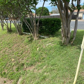 Bush Trimming by Lawn Junkie reviewed on August 16, 2025