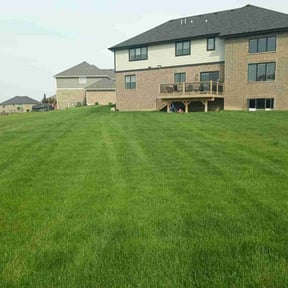 lawn care by Green Dream Landscaping LLC reviewed on July 2, 2025