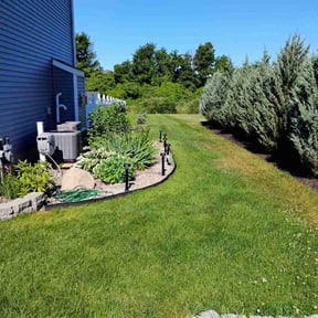 turf care by doable llc reviewed on June 7, 2024