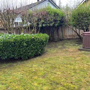 Leaf Removal by Yardcraft Solutions reviewed on January 7, 2026