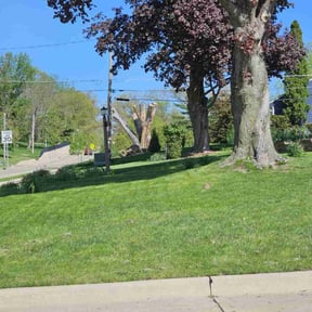 residential landscaping by Bess lawn and landscaping reviewed on December 3, 2025