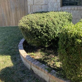 Bush Trimming by MC Landscape Maintenance LLC reviewed on March 16, 2026