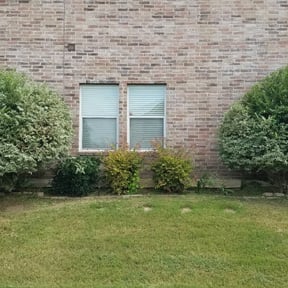 Bush Trimming by Chance Landscaping LLC reviewed on September 28, 2023
