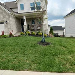 landscaping services by 5280 Lawn Care reviewed on August 19, 2025