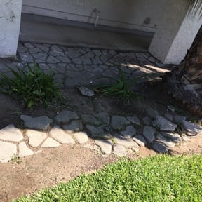 Flower Bed Weeding by S&M land maintenance reviewed on August 17, 2025