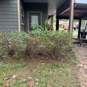 Bush Trimming by Adrian garcia reviewed on October 20, 2025