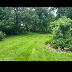 landscaping services by Clear landscapes llc reviewed on May 13, 2025