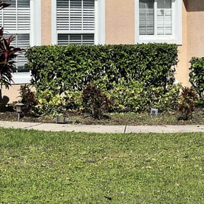 Bush Trimming by Smack Down lawns and tractor services reviewed on August 21, 2025
