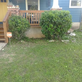 Bush Trimming by Affordable Lawn Care reviewed on August 17, 2025