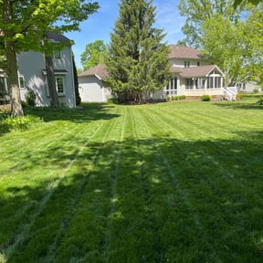 yard care by Tim's Discount Lawn reviewed on August 15, 2025