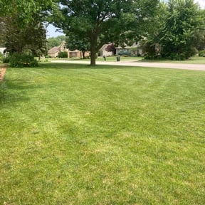 yard work by LawnFi reviewed on August 15, 2025
