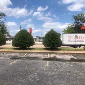 Bush Trimming by Lawn Safe LLC reviewed on June 18, 2026