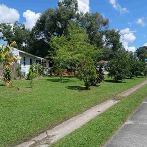 landscaping by Paniagua's Lawnhorn Services reviewed on August 13, 2025