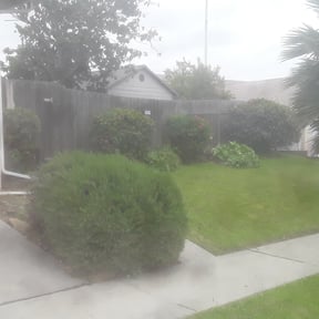 Flower Bed Weeding by Stephen Peffly reviewed on August 16, 2025