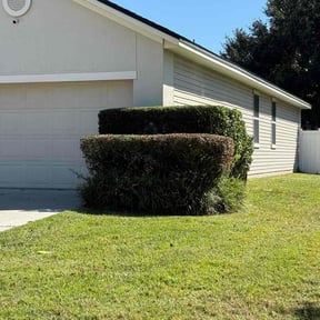 Bush Trimming by Larkin Lawn Care reviewed on November 23, 2025