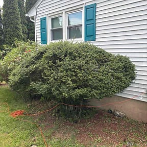 Bush Trimming by R and R lawn care reviewed on May 15, 2024