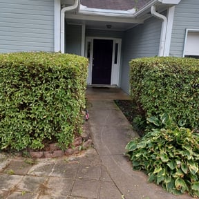 Bush Trimming by Darrttttttt's lawncare LLC reviewed on August 14, 2025