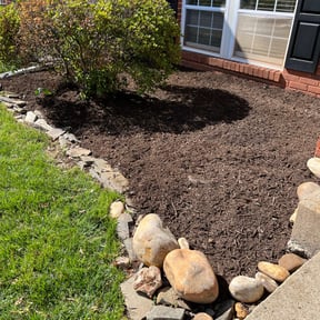 Bush Trimming by Hargett lawn services reviewed on March 29, 2024