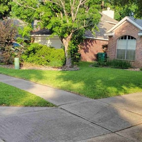 Bush Trimming by Js Lawn Care reviewed on December 1, 2023