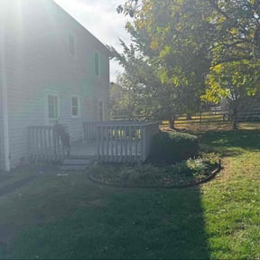 Bush Trimming by DT Lawn Service LLC reviewed on November 24, 2025