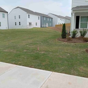 Leaf Removal by T4 lawn service reviewed on September 17, 2025