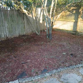 Leaf Removal by Matt’s junk removal &amp; landscaping reviewed on July 1, 2026