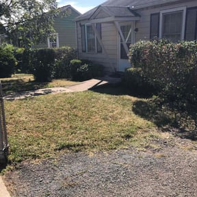 Bush Trimming by Alex Grass reviewed on August 5, 2025