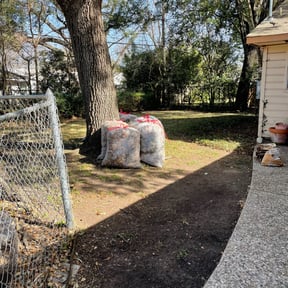 Bush Trimming by FOlawn reviewed on November 27, 2023