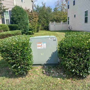 Bush Trimming by Affordable Lawn Care reviewed on November 9, 2025