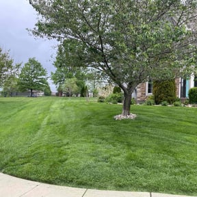 grass cutting by 316 Lawncare reviewed on August 7, 2025