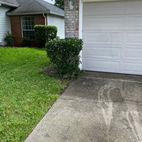 Bush Trimming by First Choice Landscaping of St Augustine reviewed on August 17, 2025