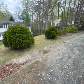 Bush Trimming by Lawn and Property services reviewed on April 14, 2026