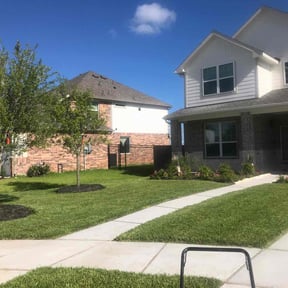 turf care by Triple &quot;s&quot; services reviewed on April 22, 2025