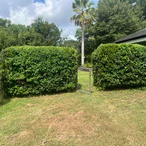 Bush Trimming by Fresh Start Landscaping reviewed on August 25, 2026