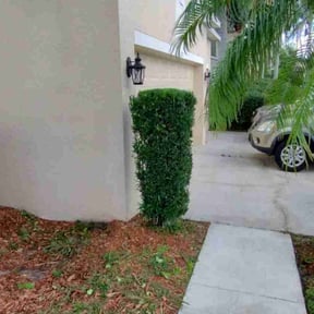 Bush Trimming by Torres Lawn Care reviewed on August 18, 2025