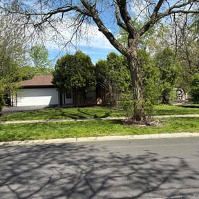 residential landscaping by Lot Legends LLC reviewed on August 17, 2025