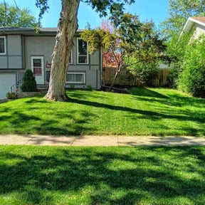 yard care by TallGrassAllGrass Lawn Service reviewed on May 29, 2025