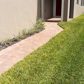 Flower Bed Weeding by AJ Prosper Clean and Tidy Janitorial and Lawn Care LLC reviewed on August 21, 2025