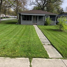 grass cutting by Mike G&#039;s Cuts4Less reviewed on March 15, 2024