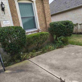 Bush Trimming by Mow-4-U reviewed on December 1, 2025