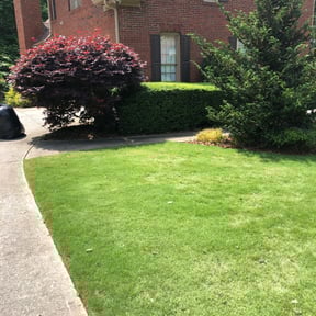 Bush Trimming by La  Brinks reviewed on May 31, 2023